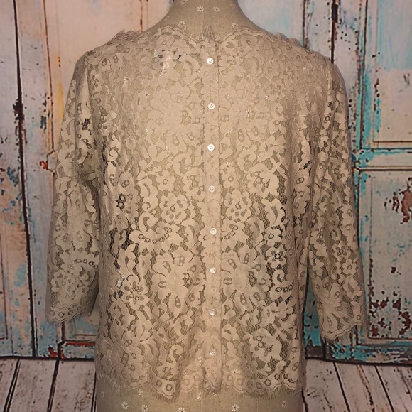 JOIE~Mushroom Elvia Back Button Lace Top~M - Picture 4 of 8